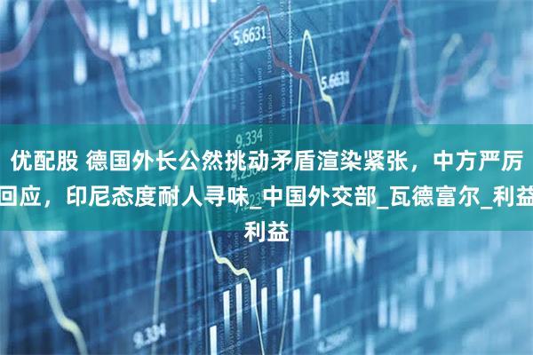 优配股 德国外长公然挑动矛盾渲染紧张，中方严厉回应，印尼态度耐人寻味_中国外交部_瓦德富尔_利益