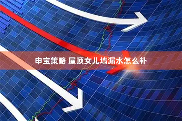 申宝策略 屋顶女儿墙漏水怎么补