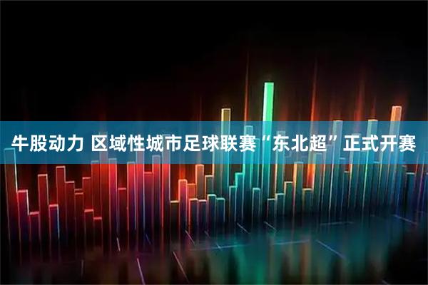 牛股动力 区域性城市足球联赛“东北超”正式开赛